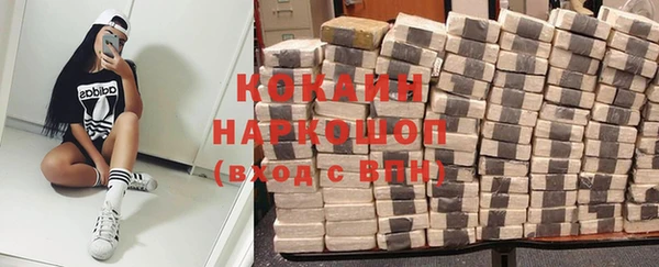 стаф Пестово