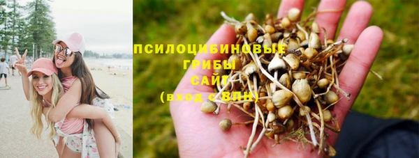герыч Заводоуковск