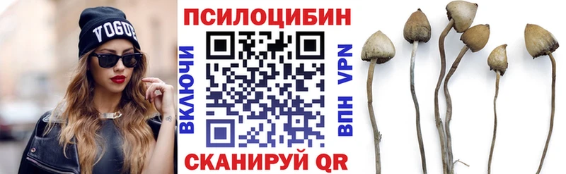 закладки  Питкяранта  Галлюциногенные грибы прущие грибы 